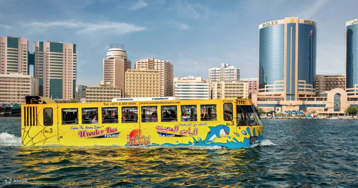 Wonder Bus Sea And Land Adventure Tours